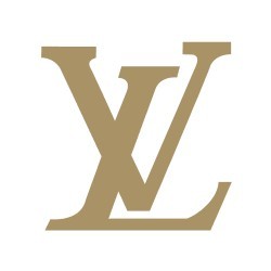 Louis Vuitton Shoes